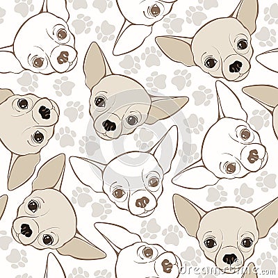 Vector seamless pattern with chihuahua-dog and traces. Stock Photo