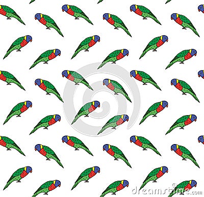 Vector seamless pattern of colored lory parrot Vector Illustration