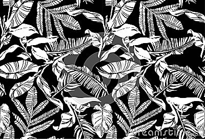 Vector seamless pattern with compositions of graphical tropical leaves, palm leaves,banana leavesand jungle plants. Vector Illustration