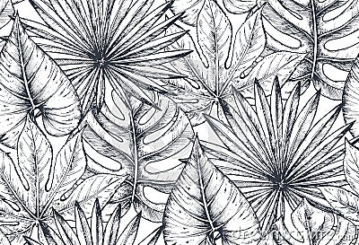 Vector seamless pattern with compositions of hand drawn tropical plants Vector Illustration