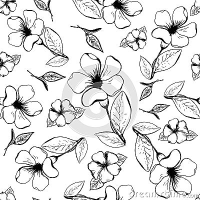 Vector, seamless pattern of contour flowers Stock Photo