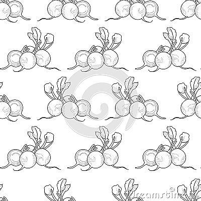 Vector seamless pattern with doodle radish; hand drawing radish. Vector Illustration