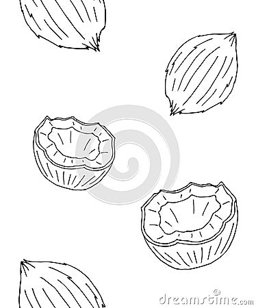 Vector seamless pattern of doodle sketch coconut Stock Photo