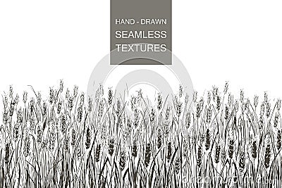 Vector seamless pattern field of wheat. Hand drawn engraving illustration of Countryside Vector Illustration