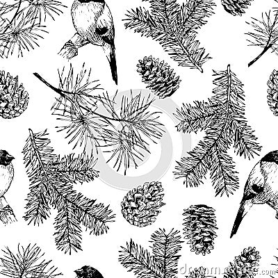 Vector seamless pattern of fir and pine branches, cones and bullfinch bird. Hand drawn elements. Christmas decoration. Vector Illustration