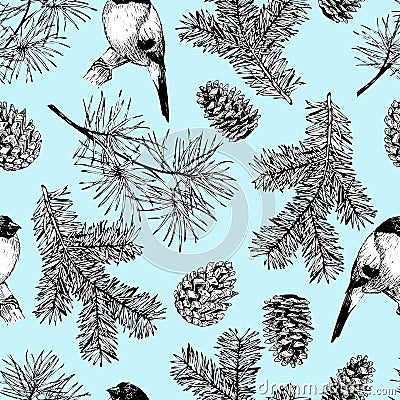 Vector seamless pattern of fir and pine branches, cones and bullfinch bird. Hand drawn elements. Christmas decoration Vector Illustration