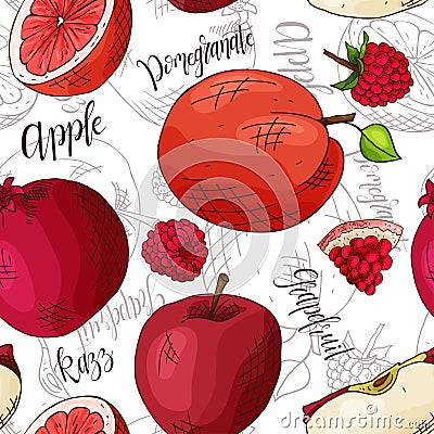 Vector seamless pattern with fruits. apple and razz and pomegranate and grapefruit background. Hand drawn elements. Vector Illustration