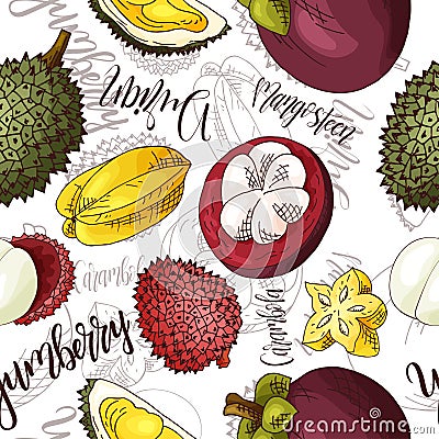 Vector seamless pattern with fruits. Durian and carambola and yumberry and mangosteen background. Hand drawn elements. Vector Illustration