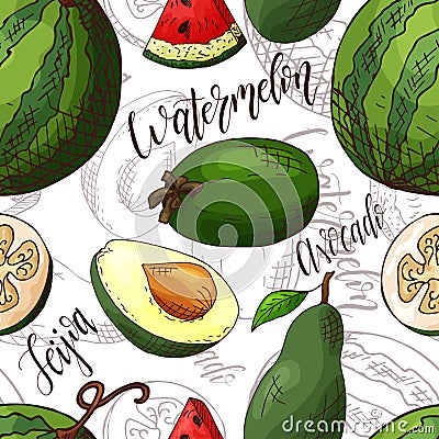 Vector seamless pattern with fruits. Watermelon and avocado and feijoa background. Hand drawn elements. Vector Illustration