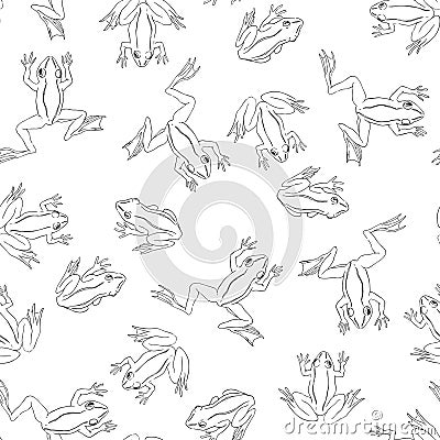 Vector seamless pattern with funny frogs on pond isolated on white. Hand drawn texture with cute cartoon characters in doodle Vector Illustration