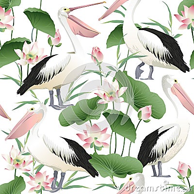 Vector seamless pattern with graceful pelicans. Vector Illustration