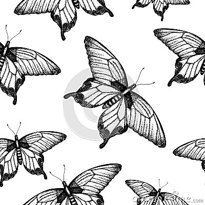 Vector seamless pattern of hand drawn black and white butterflies Vector Illustration