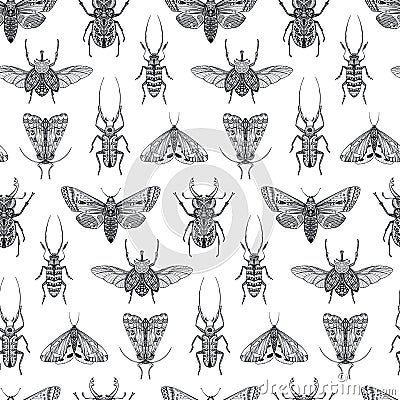 Vector seamless pattern with hand drawn insects. Entomological magical endless background. Vector Illustration