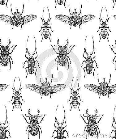 Vector seamless pattern with hand drawn insects. Entomological magical endless background. Vector Illustration