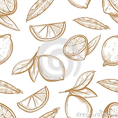 Vector seamless pattern with hand drawn lemons branch, lemon blossom, citrus slices and leaves Vector Illustration