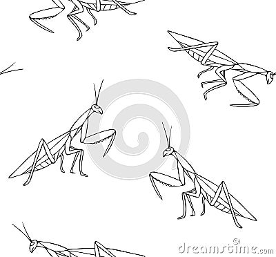 Vector seamless pattern of hand drawn mantis Vector Illustration