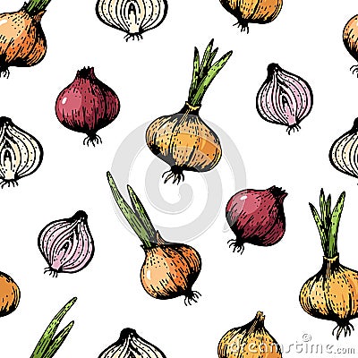 Vector seamless pattern with hand drawn onions, sketch style illustration, red and orange bow on white background Vector Illustration