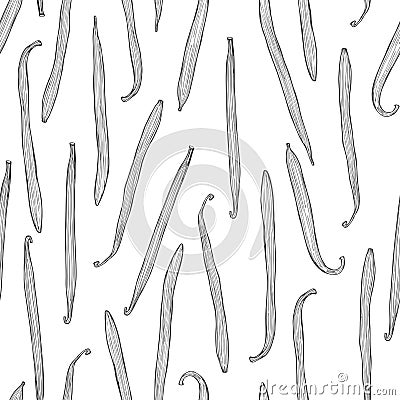 Vector pattern with vanilla pods. Sketch illustration Vector Illustration