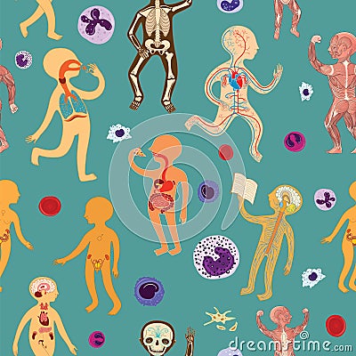 Vector seamless pattern with illustration of human anatomy Vector Illustration