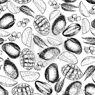 Vector seamless pattern of isolated mango. hand drawn colored exotic fruits. Engraved art. Vector Illustration