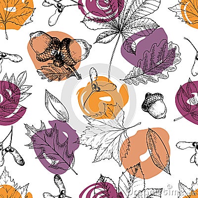 Vector seamless pattern with leaves and modern brush spot. Hand drawn engraved art. Oak, mapple, chestnut, acorns. Vector Illustration