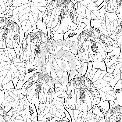 Vector seamless pattern with outline black Abutilon or Indian mallow flower and leaf on the white background. Floral background. Vector Illustration