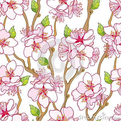 Vector seamless pattern with outline blooming Apricot flower bunch, branch and green leaves on the white background. Vector Illustration