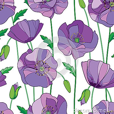 Vector seamless pattern with outline lilac Poppy flower, bud and green leaves on the white background. Elegance floral background. Vector Illustration