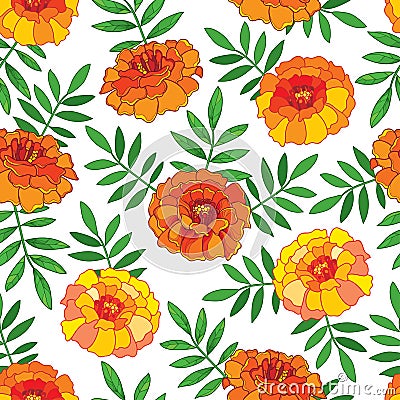 Vector seamless pattern with outline orange Tagetes or Marigold flower Vector Illustration