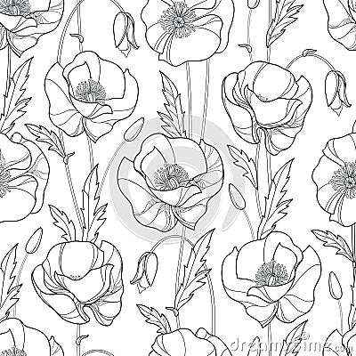 Vector seamless pattern with outline Poppy flower, bud and leaves in black on the white background. Monochrome floral pattern. Vector Illustration