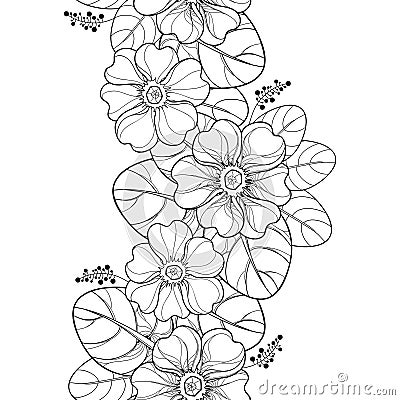 Vector seamless pattern with outline Primula or Primrose flower and leaves in black on the white background. Vertical border. Vector Illustration