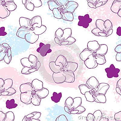 Vector seamless pattern with outline Saintpaulia or African violet flower in pastel pink and purple color on the white background. Vector Illustration
