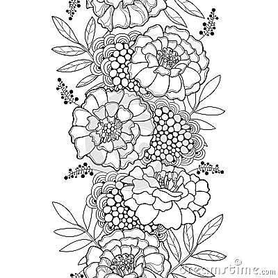 Vector seamless pattern with outline Tagetes or Marigold flower Vector Illustration