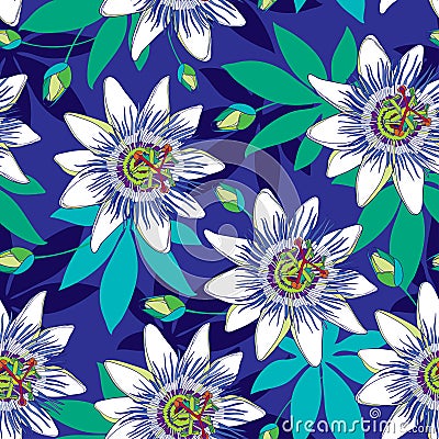 Vector seamless pattern with outline tropical Passiflora or Passion flowers in blue and white, bud and leaves on the blue. Vector Illustration