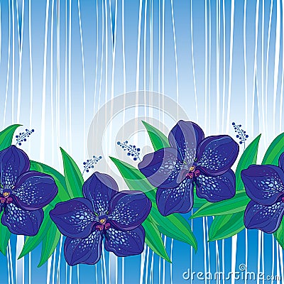 Vector seamless pattern with outline Vanda orchid flower in blue and green leaves on the striped background. Floral pattern. Vector Illustration