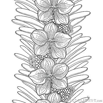 Vector seamless pattern with outline Vanda orchid flower and leaves on the white background. Floral pattern with Vanda flower. Vector Illustration