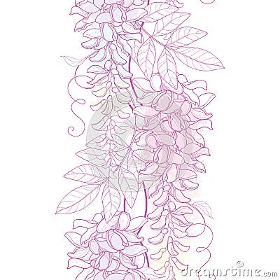 Vector seamless pattern with outline Wisteria or Wistaria flower bunch, bud and leaf in pastel pink and purple on the white. Vector Illustration