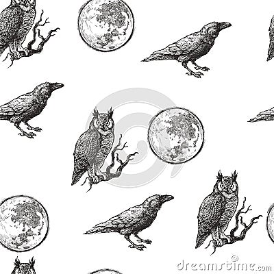 Vector seamless pattern with owl, raven and moon in engraving style. Hand drawn texture with Halloween symbols isolated on white Vector Illustration
