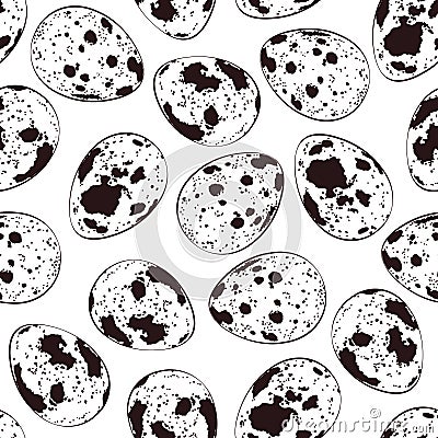 Quail eggs on white background. Vector seamless pattern Vector Illustration