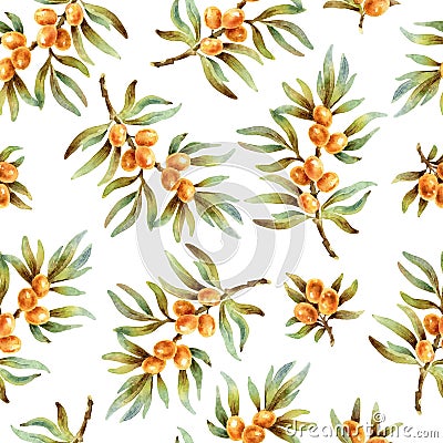 Vector seamless pattern with sea buckthorn berries Vector Illustration