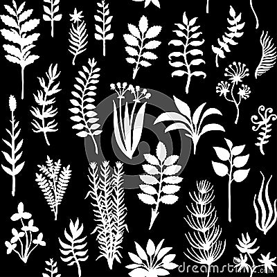 Vector seamless pattern with silhouettes of herbs and plants Vector Illustration