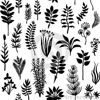 Vector seamless pattern with silhouettes of herbs and plants Vector Illustration