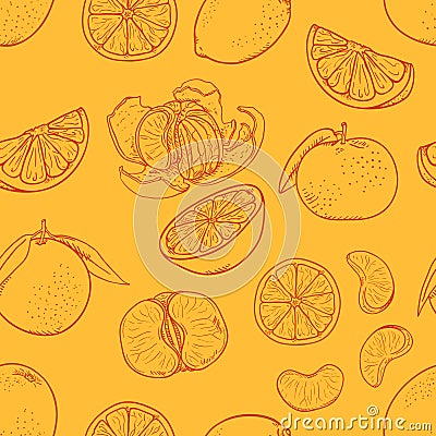 Vector Seamless Pattern of Sketch Citrus Fruit on Orange Background Vector Illustration