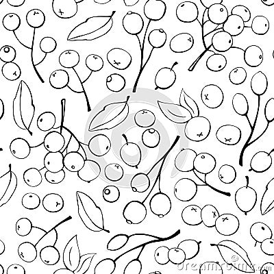 Vector seamless pattern of small outline berries singly. Rowan berries, viburnum, blueberry, lingonberry, cranberry Vector Illustration