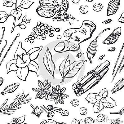 Vector seamless pattern of spices and herbs. Hand drawn elements on background in black and white. Vector Illustration
