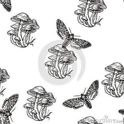 Vector seamless pattern with toadstools and death head moth in engraving style. Hand drawn texture with witching symbols isolated Vector Illustration