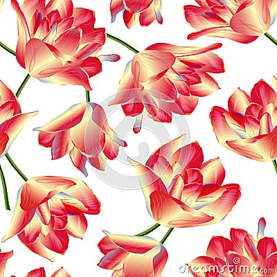 Vector seamless pattern with tulip flowers. Spring or summer design. Stock Photo