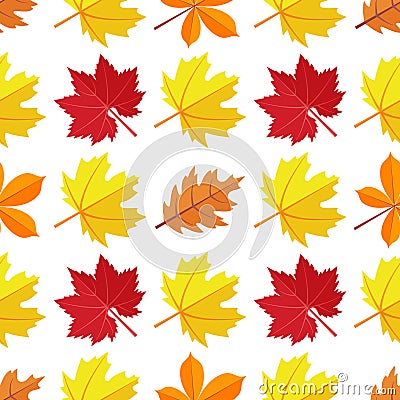 Vector seamless pattern with various colorful autumn leaves on a white background. Vector Illustration