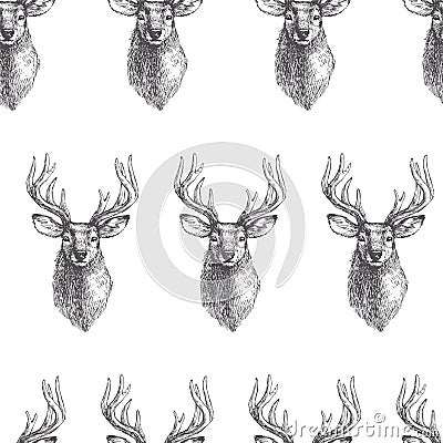 Vector seamless pattern with vintage engraved deer heads. Hand d Vector Illustration