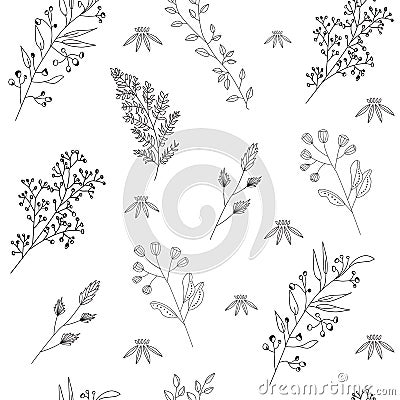 Wild flower pattern. Seamless vector illustration. Black outline. Graphic designe on white isolated background. Vector Illustration